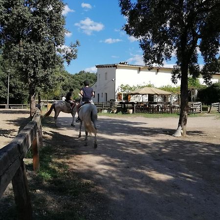 Casa Rural, Can Cirera Serinya Экстерьер фото