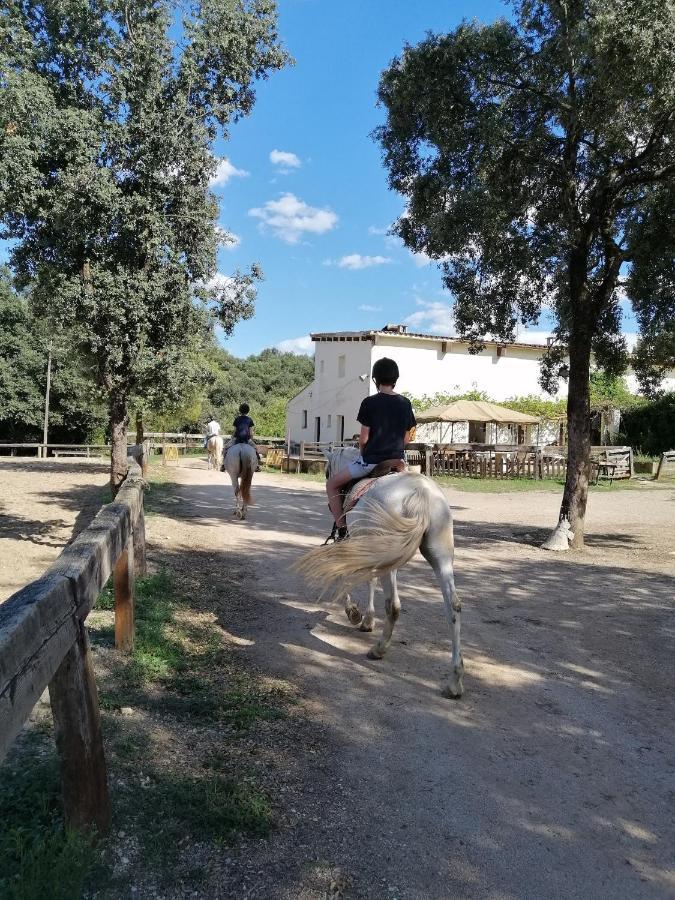 Casa Rural, Can Cirera Serinya Экстерьер фото